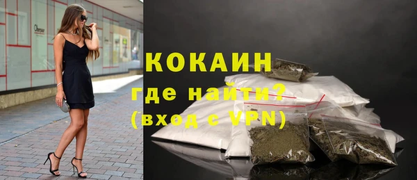 ПСИЛОЦИБИНОВЫЕ ГРИБЫ Белокуриха