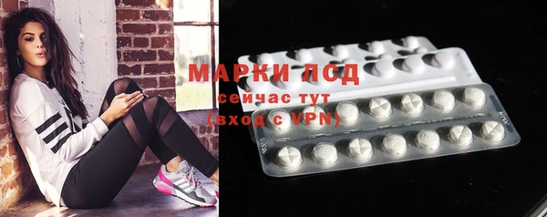 ПСИЛОЦИБИНОВЫЕ ГРИБЫ Белокуриха
