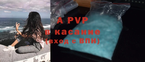 ПСИЛОЦИБИНОВЫЕ ГРИБЫ Белокуриха