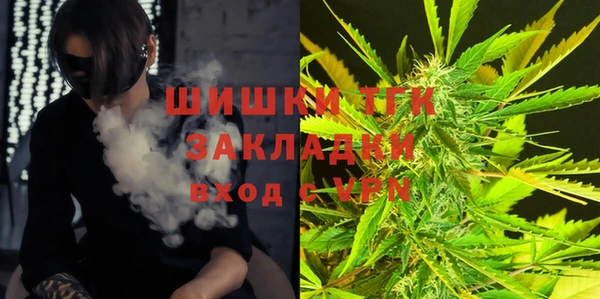 ПСИЛОЦИБИНОВЫЕ ГРИБЫ Белокуриха