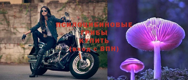 гидра Беломорск