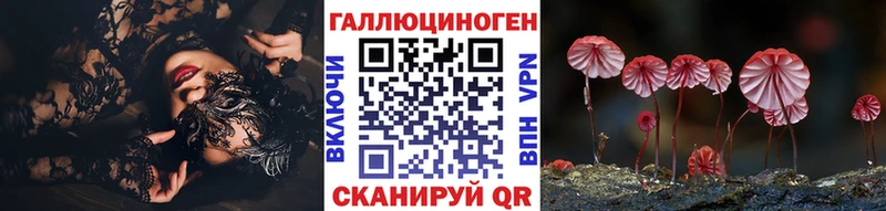 нарко площадка наркотические препараты  Верещагино  Псилоцибиновые грибы Psilocybe 